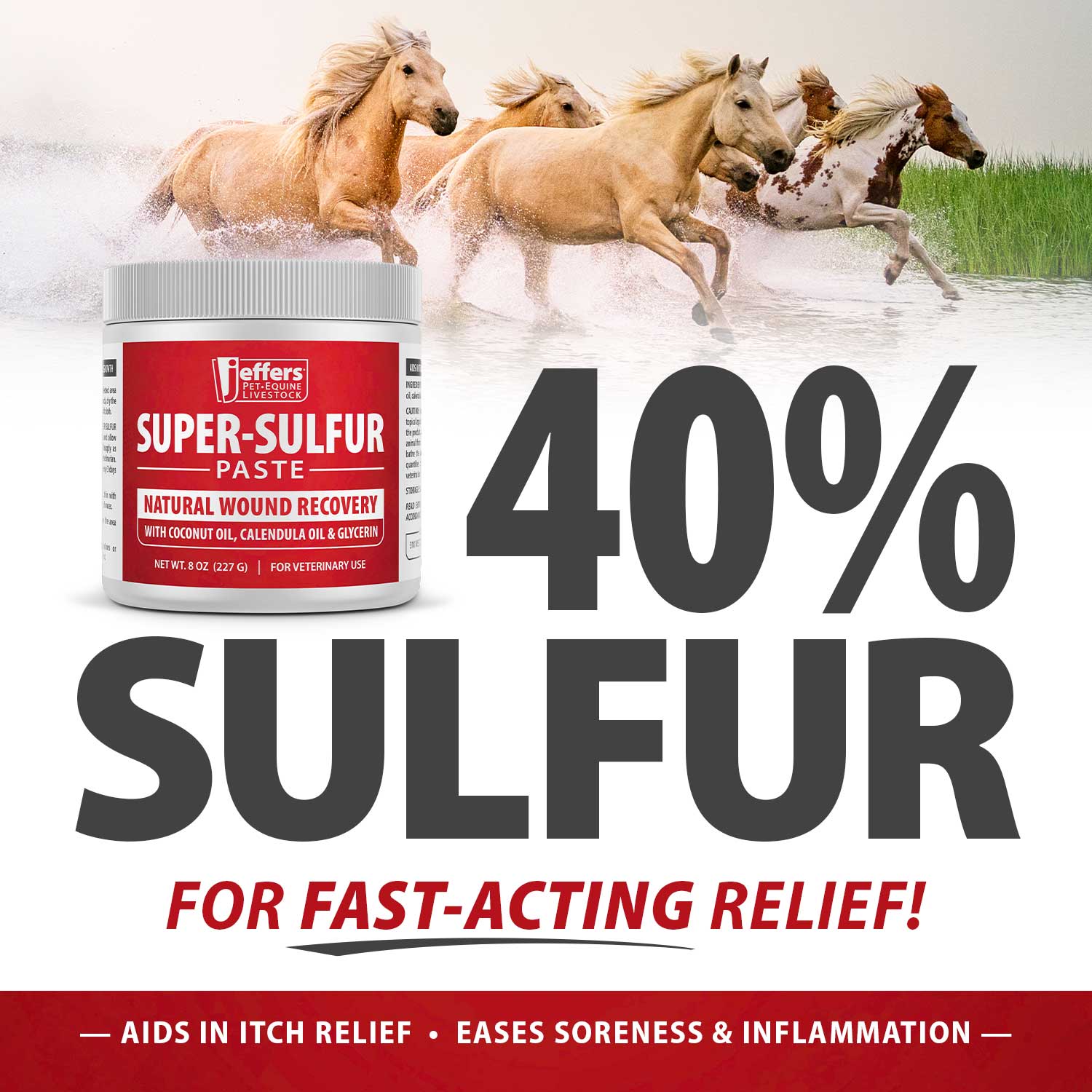 Jeffers Super-Sulfur Skin &amp; Wound Healing Paste for Pets, Horses, &amp; Livestock