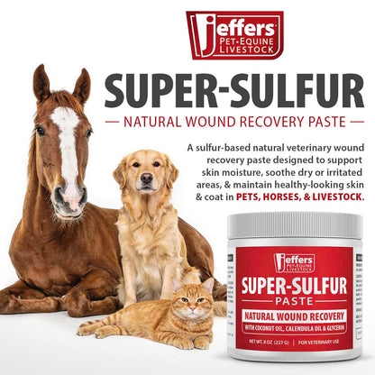 Jeffers Super-Sulfur Skin &amp; Wound Healing Paste for Pets, Horses, &amp; Livestock