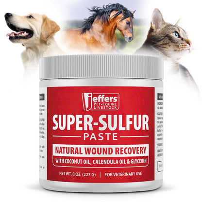 Jeffers Super-Sulfur Skin &amp; Wound Healing Paste for Pets, Horses, &amp; Livestock