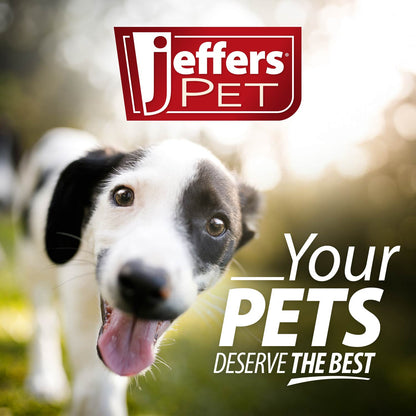 Jeffers Red Millipede Natural Rubber Treat Dispensing Dental Dog Chew Toy