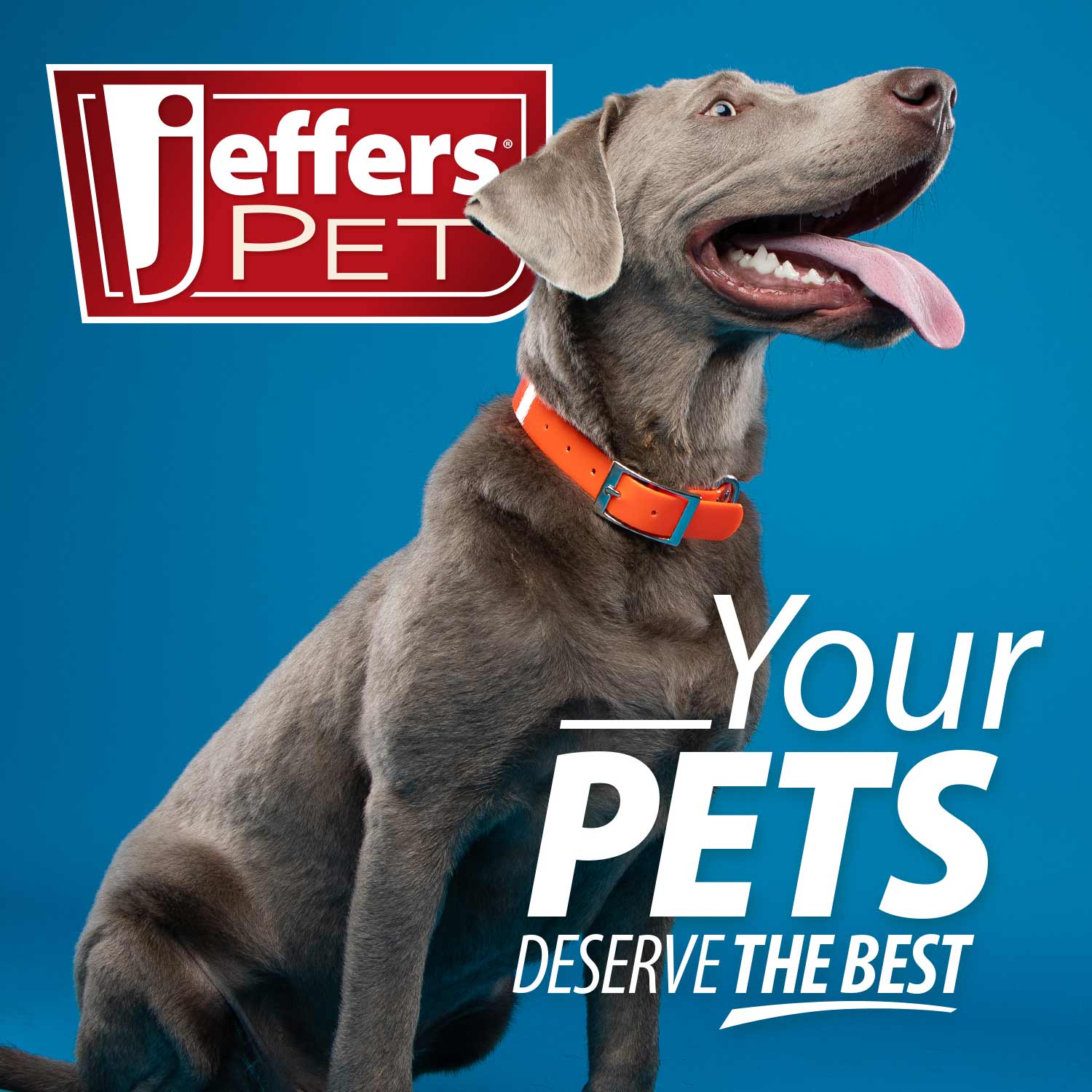 Jeffers Natural Flea &amp; Tick Pennyroyal Dog Shampoo - Aids in Repelling Fleas, Ticks, Flies &amp; Mosquitos