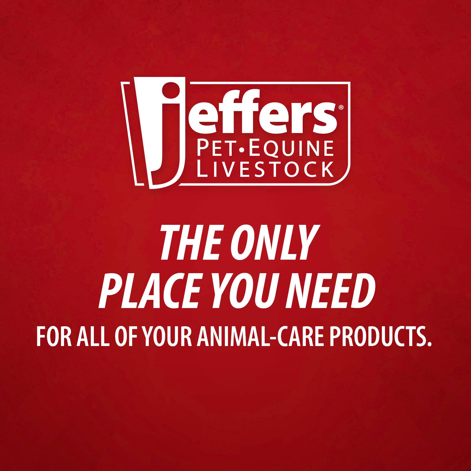 Jeffers Grooming Trim Kit 