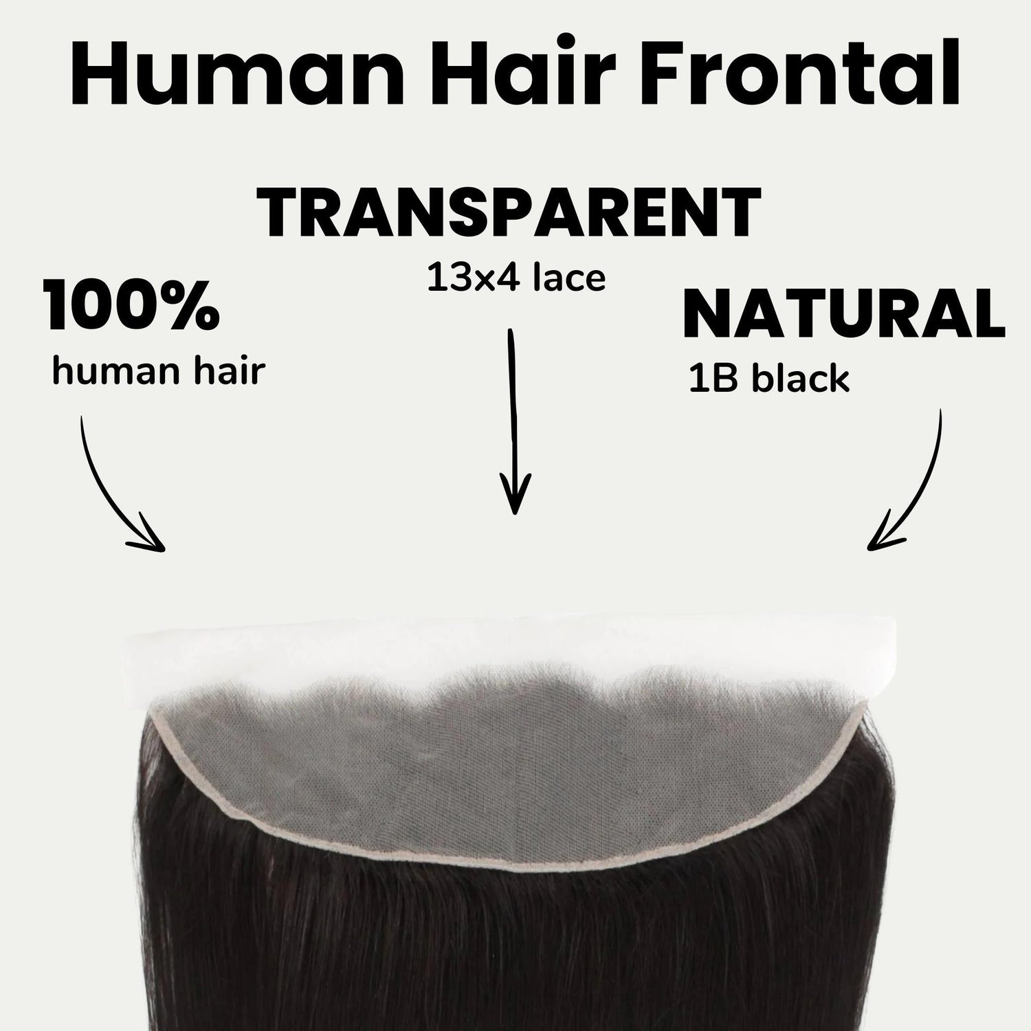 Malaysian Straight 13x4 Transparent Lace Human Hair Frontal