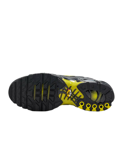 Nike Air Max Plus &