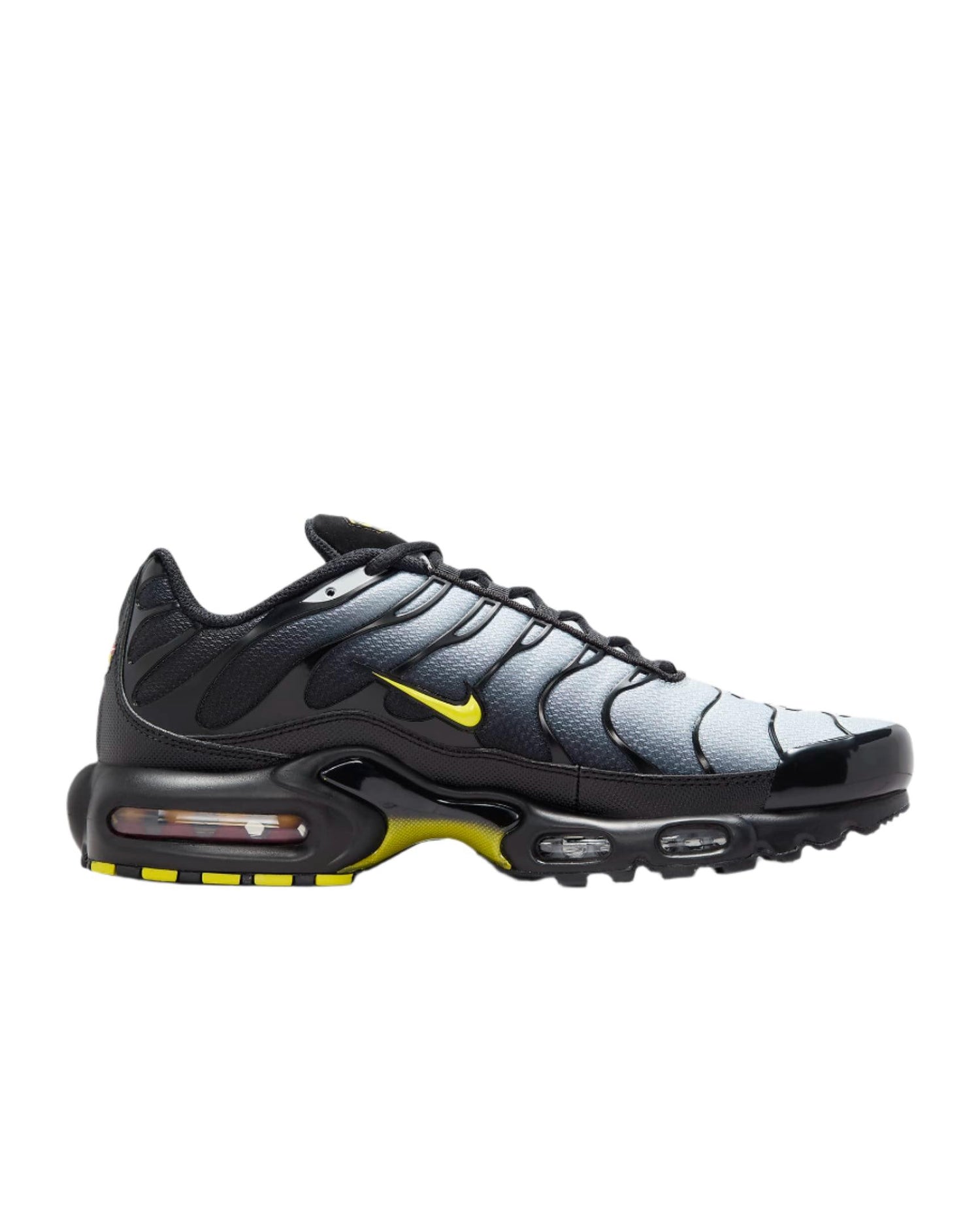 Nike Air Max Plus &