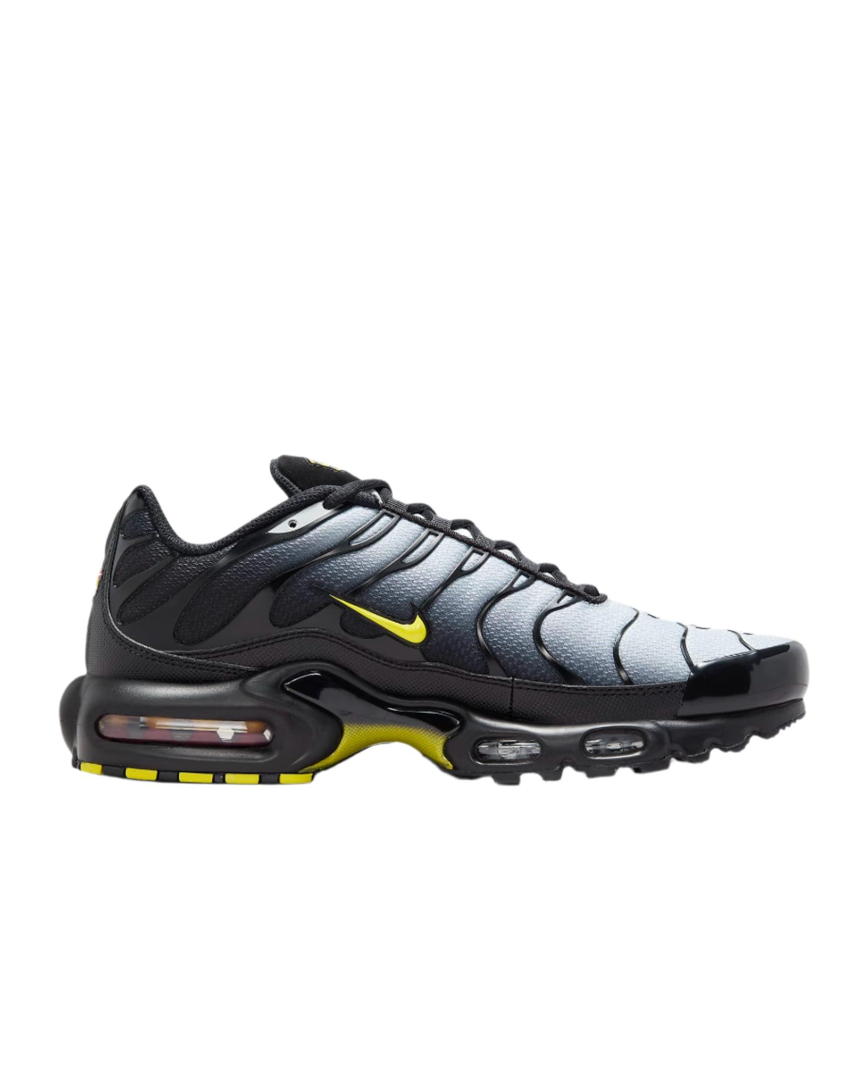 Nike Air Max Plus &