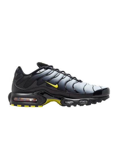 Nike Air Max Plus &