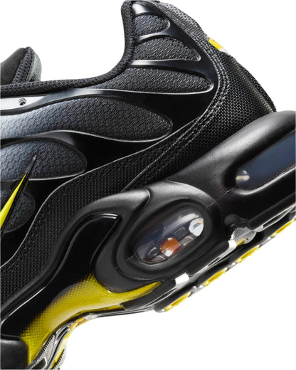 Nike Air Max Plus &