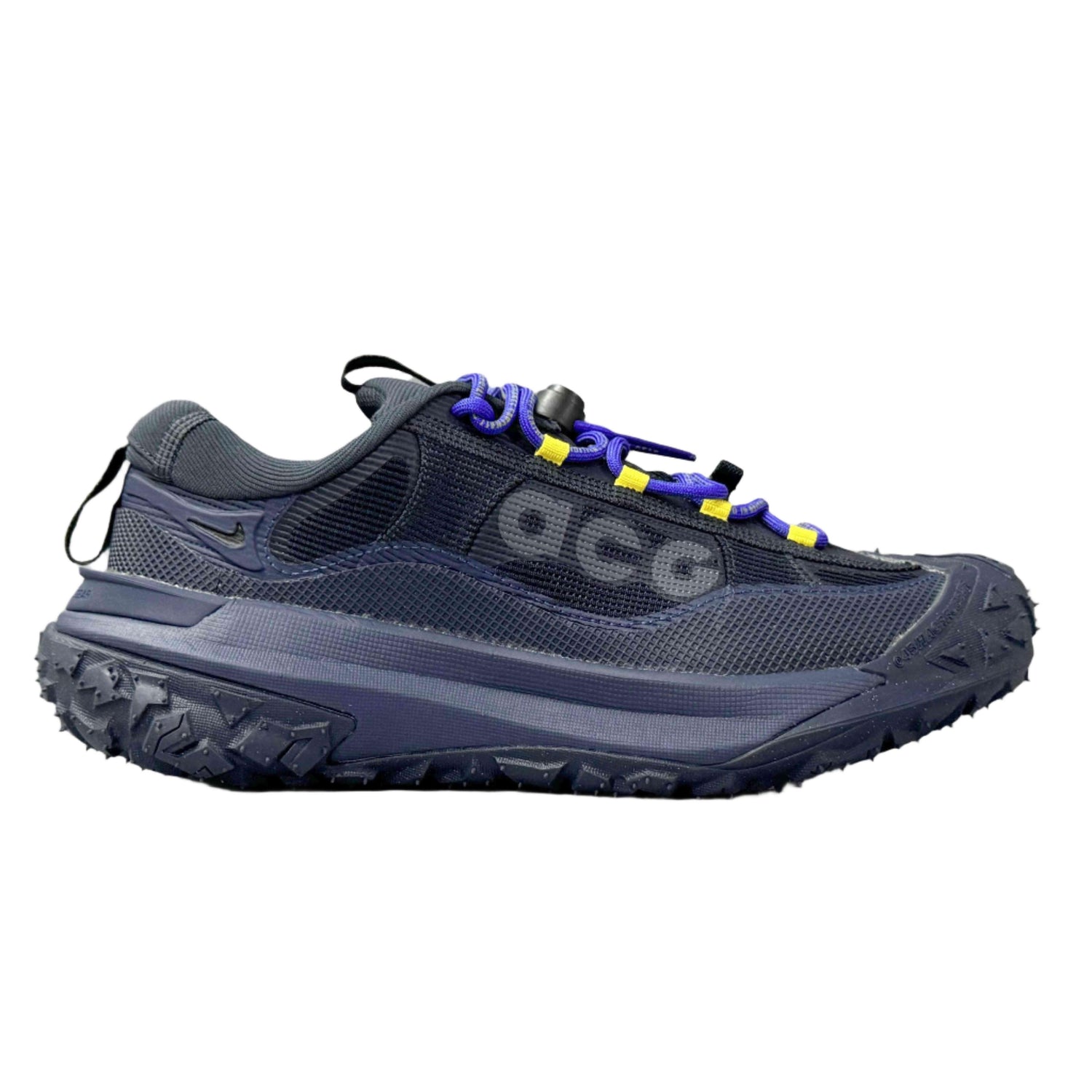 Nike ACG Mountain Fly 2 Low Gore-Tex &