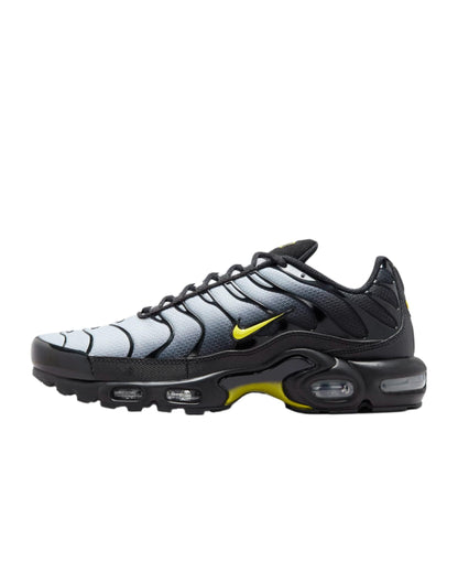 Nike Air Max Plus &