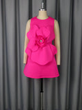 Crew Neck Sleeveless Dress Three Dimensional Floral a Swing Slim Fit Socialite Party Evening Dress