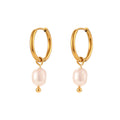 Simple Light Luxury Earrings Jewelry Stainless Steel Plated 18K Gold Freshwater Pearl Gold Ear Ring Accessories