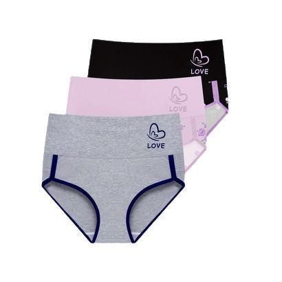 Plus size women's hip briefs by SHOPEZRA L.L.C., featuring stitching fashion design in four pairs for cross-border Europe and US markets.