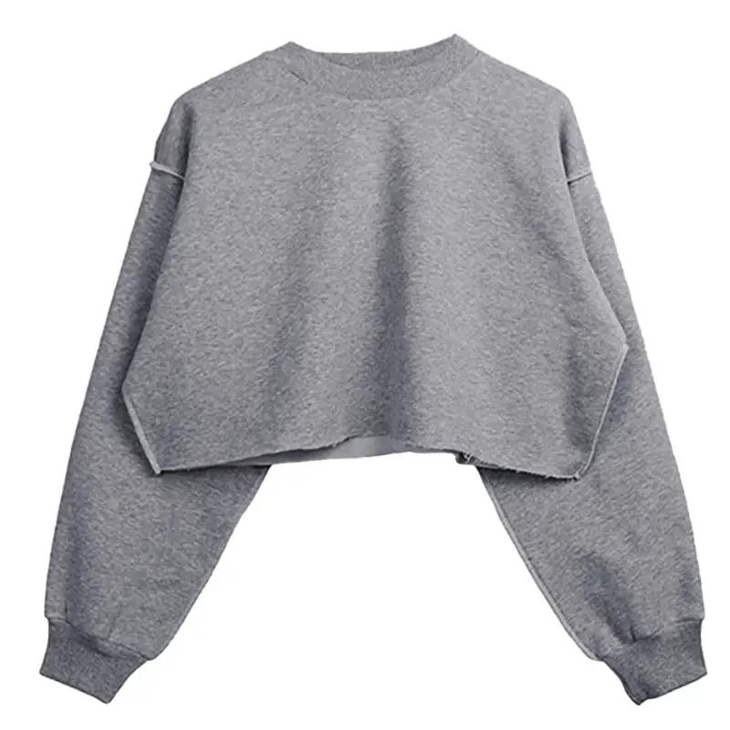 Fleece Lined Long Sleeved Fitness Yoga Wear Top Sports Cropped Short Sweatshirt Women by Wanita Store