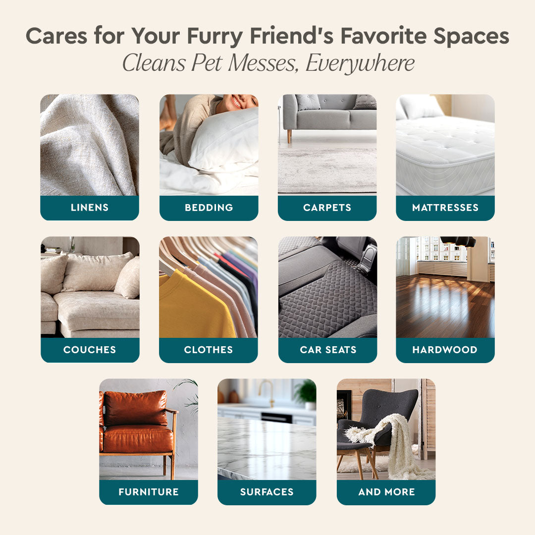 Pet Stain &amp; Odor Remover