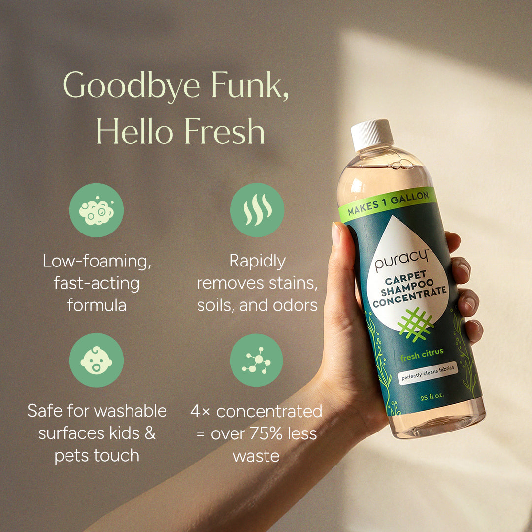 Carpet &amp; Upholstery Shampoo