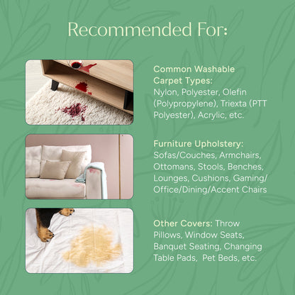 Carpet &amp; Upholstery Shampoo