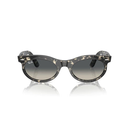 RAY-BAN Wayfarer Oval Sunglasses for Men
