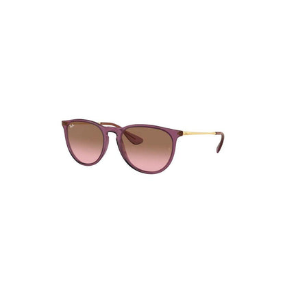 RAY-BAN Stylish Erika Round Sunglasses for Women