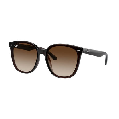 RAY-BAN Stylish Acetate Sunglasses for Men RB4423D