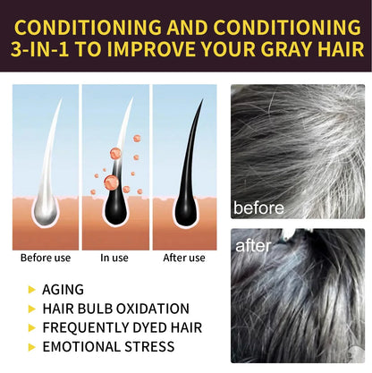 100ml Black Hair Shampoo 3 In1 Hair Dye Shampoo Repairing and Softening Shampoo Moisturizing Cleaning Hair Care for Women Men