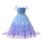Girl Elsa Anna Dress Princess Costume Snow Queen Dress Baby Halloween Ariel Carnival Clothes Kids Cosplay Clothes Party Clothing SHOPEZRA L.L.C.