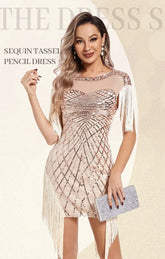 1920s Flapper Sequins Great Gatsby Cocktail Party Dress Sexy Retro Dress Wedding Dress Shop Dinner Dress Embroidered Dress SHOPEZRA L.L.C.