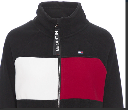 Tommy Hilfiger Sport Plus Size Colorblocked Hooded Jacket, Size 1X