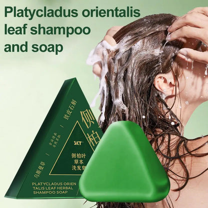 Platycladus Orientalis Shampoo Bar Natural Herbal Soap For Hair Loss Controls Oil Strengthens Root Shampoo Soap Hair Accessories