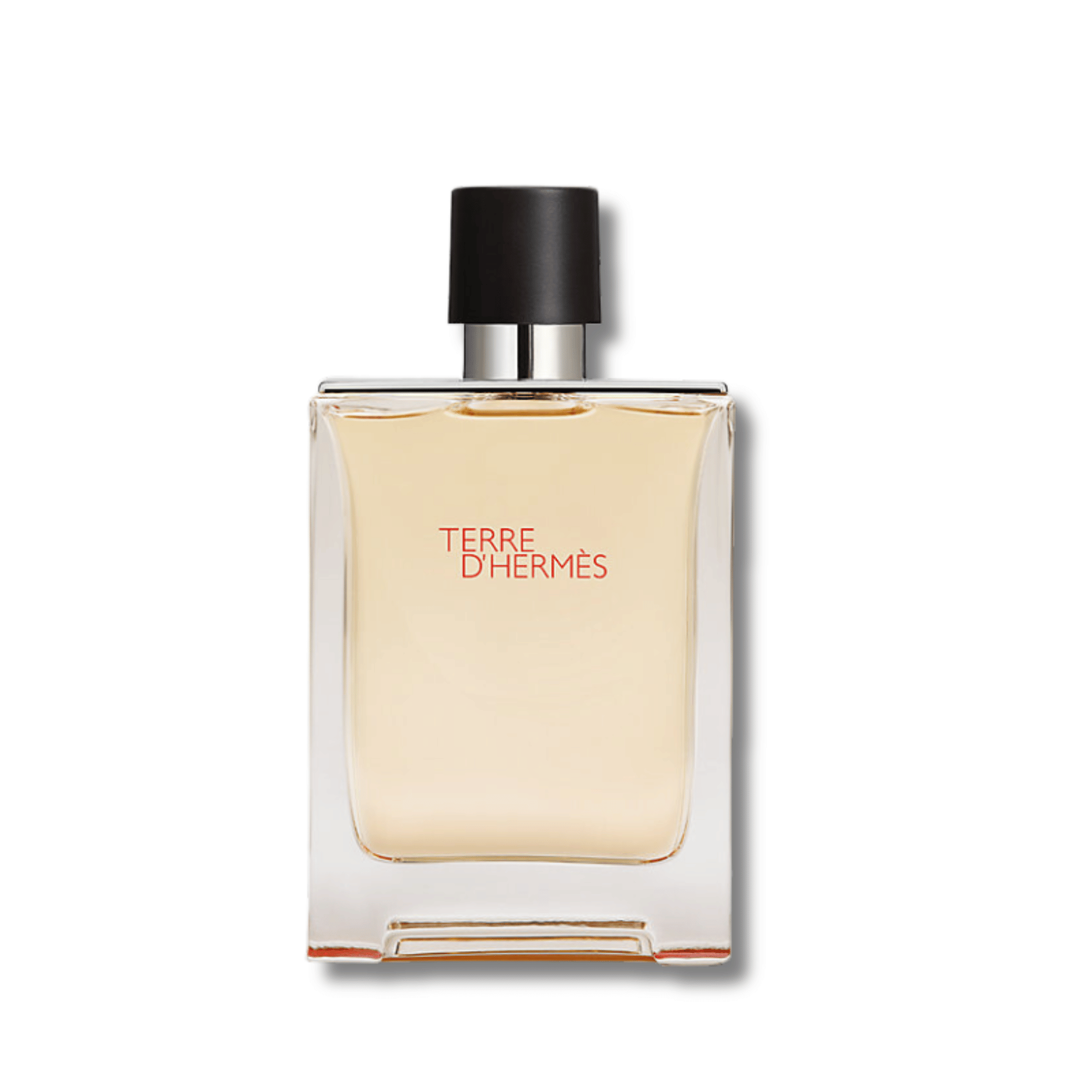 Terre D&