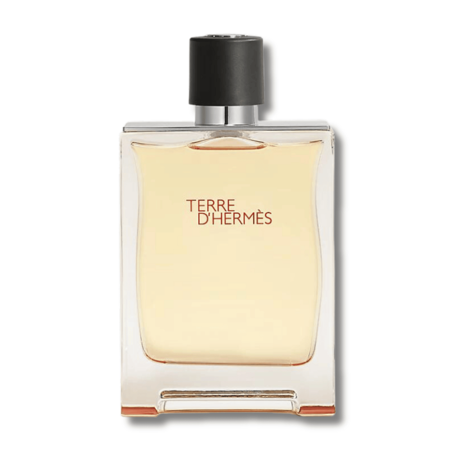 Terre D&