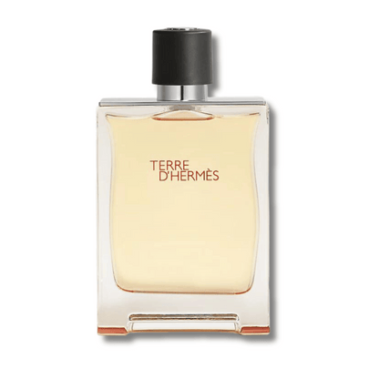 Terre D&