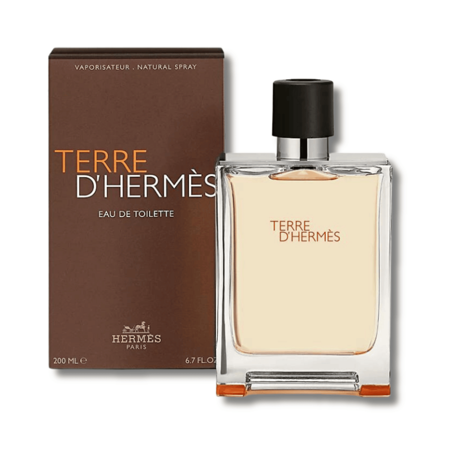 Terre D&