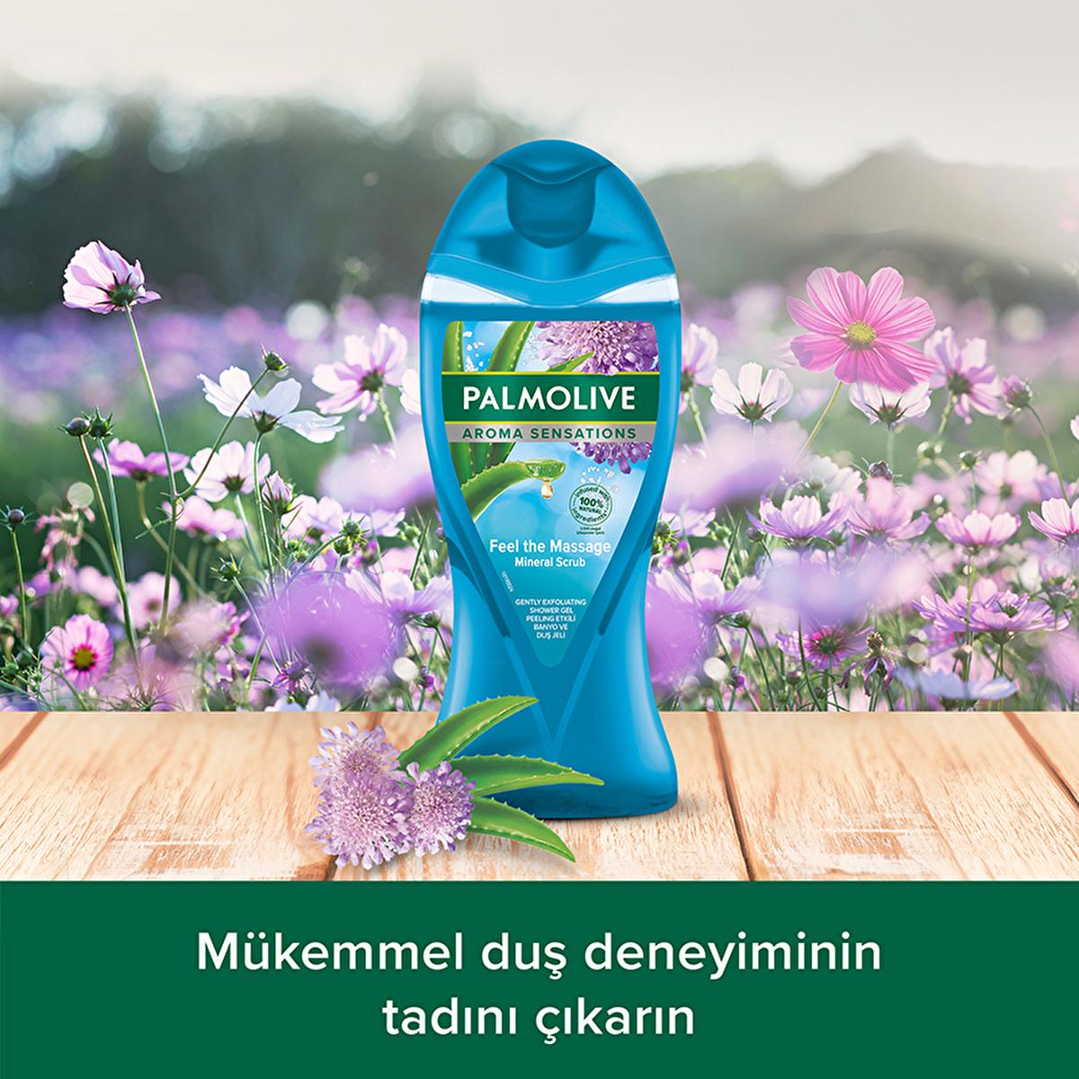 Palmolive Aroma Sensations Natural Shower Gel with Dead Sea Salt &amp; Aloe Vera - 8.45 fl oz, Nourishing &amp; Organic Body Wash