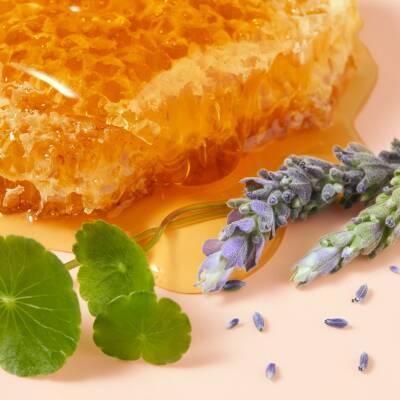 Nuxe Reve De Miel: Intensive Honey Hand Cream for Dry, Damaged Skin | Repairing &amp; Moisturizing with Centella Asiatica