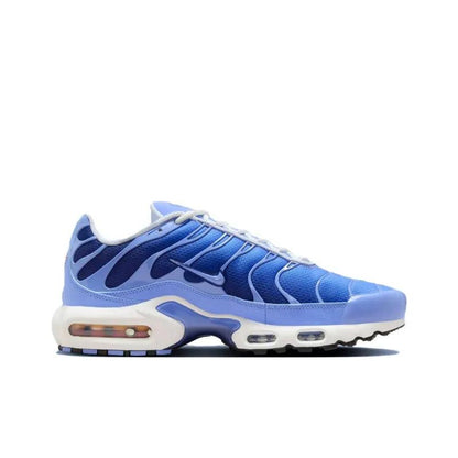 Nike Air Max Plus &