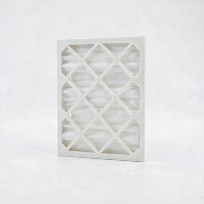 Brighton Professional Pleated Air Filter, 3/Pack