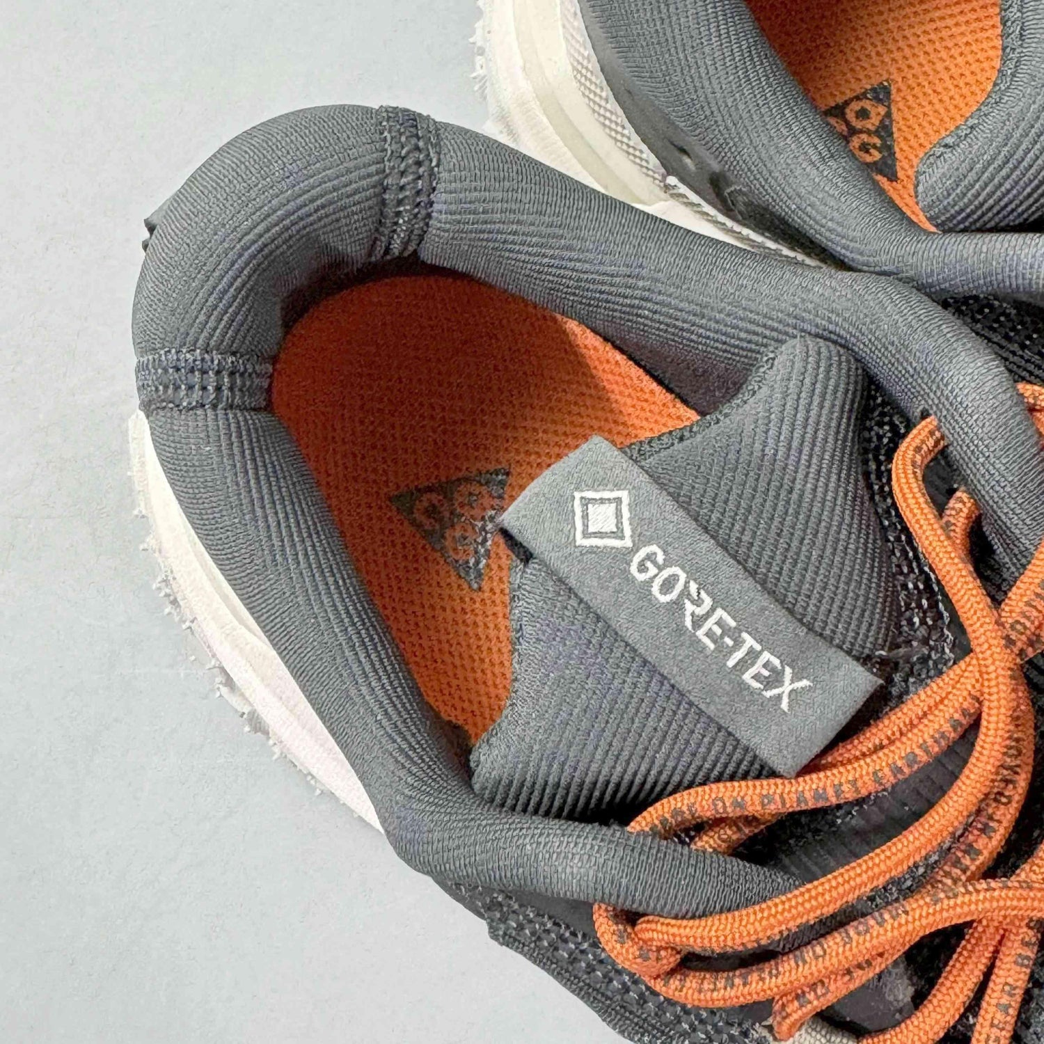 Nike ACG Mountain Fly 2 Low Gore-Tex &