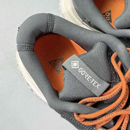 Nike ACG Mountain Fly 2 Low Gore-Tex &