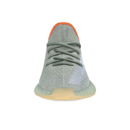 Yeezy Boost 350 V2 &