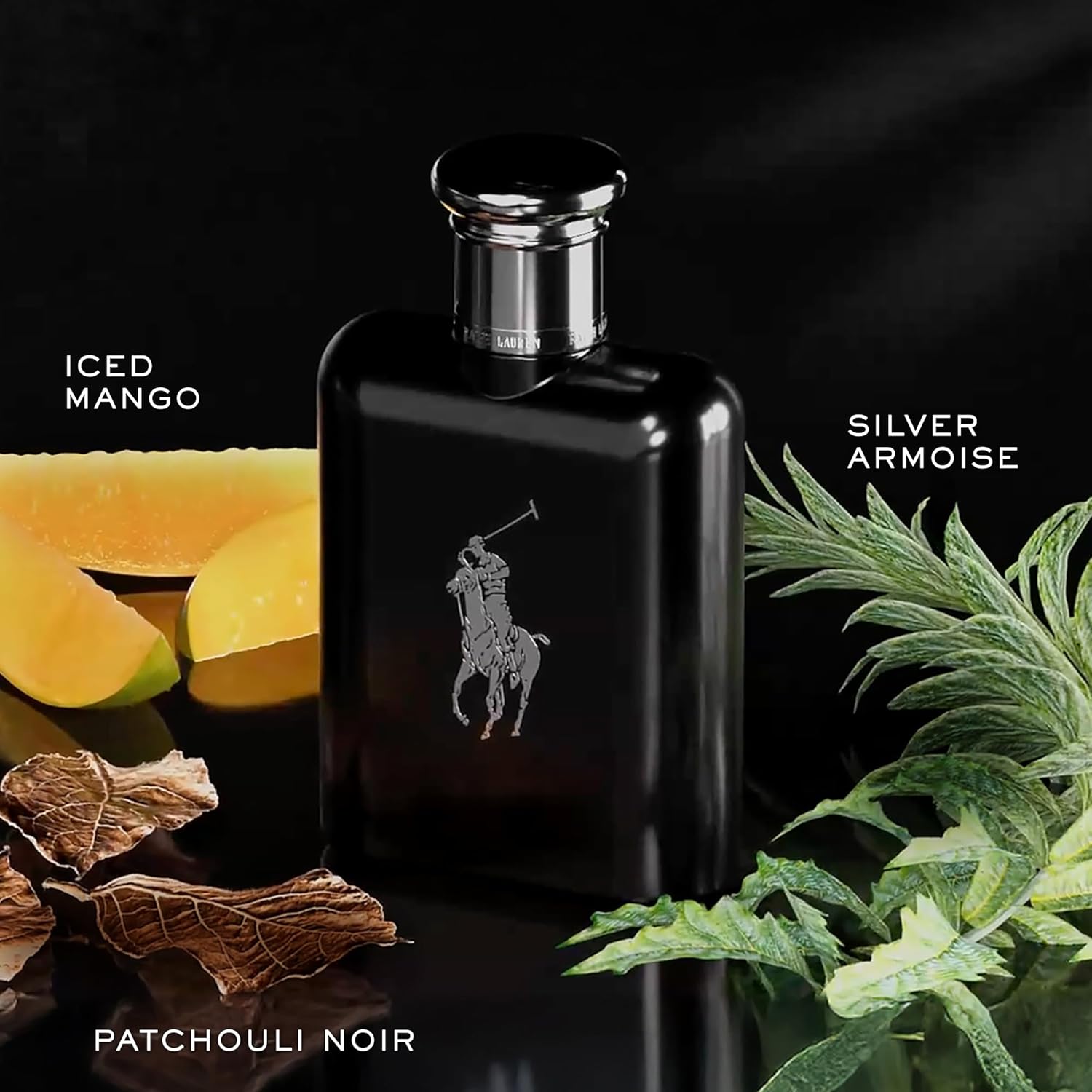 Ralph Lauren Polo Black Men&