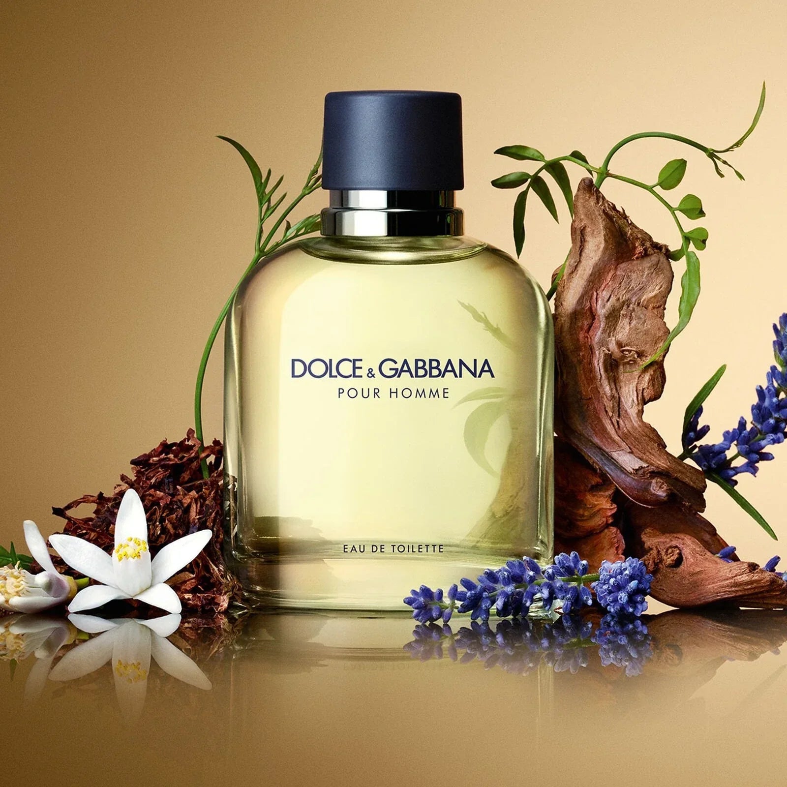 Dolce &amp; Gabbana Pour Homme Eau De Toilette Spray for Men 4.2 oz