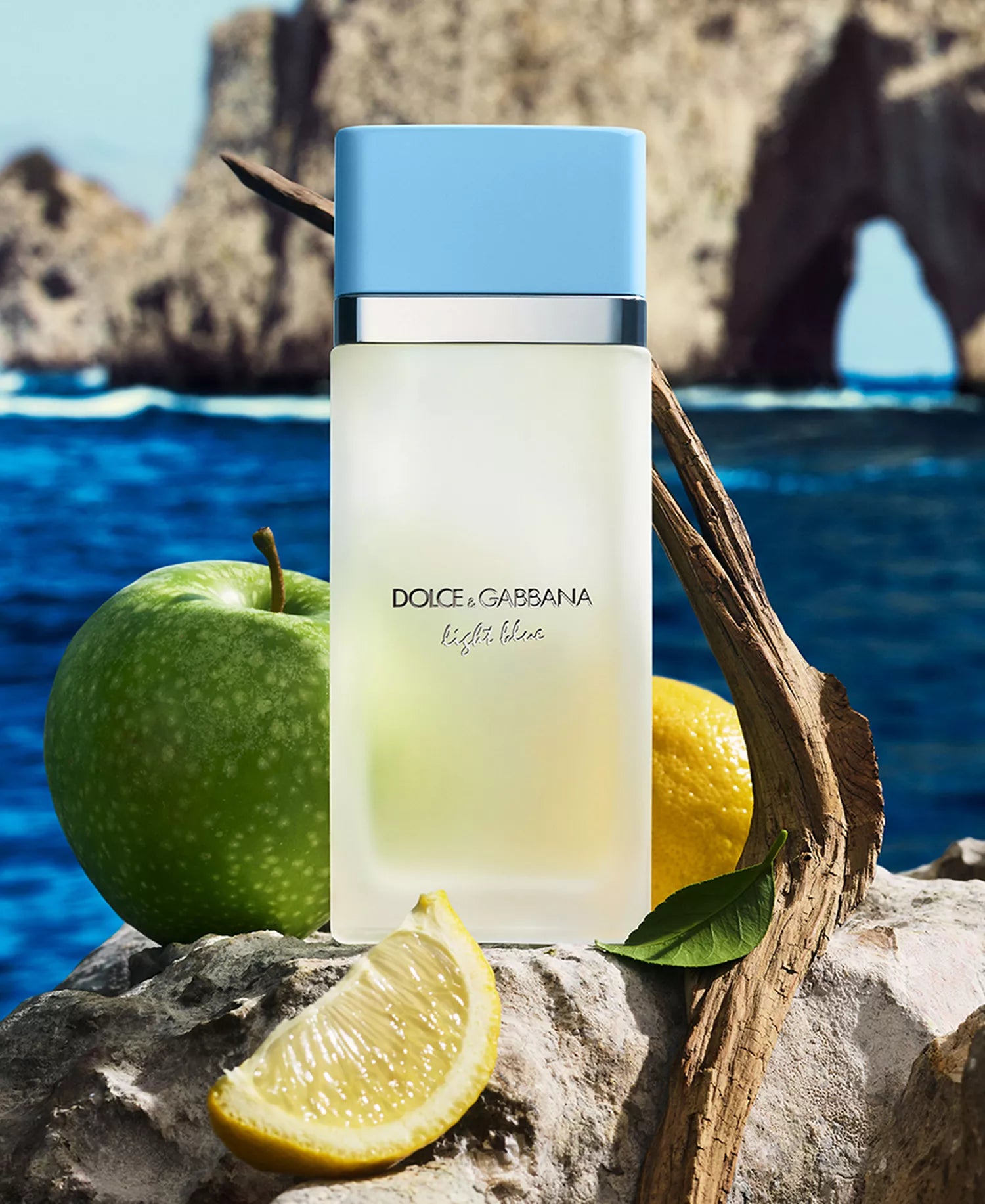 Dolce &amp; Gabbana Light Blue Eau de Toilette Spray for Women 6.7 oz