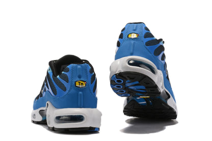 Nike Air Max Plus  &