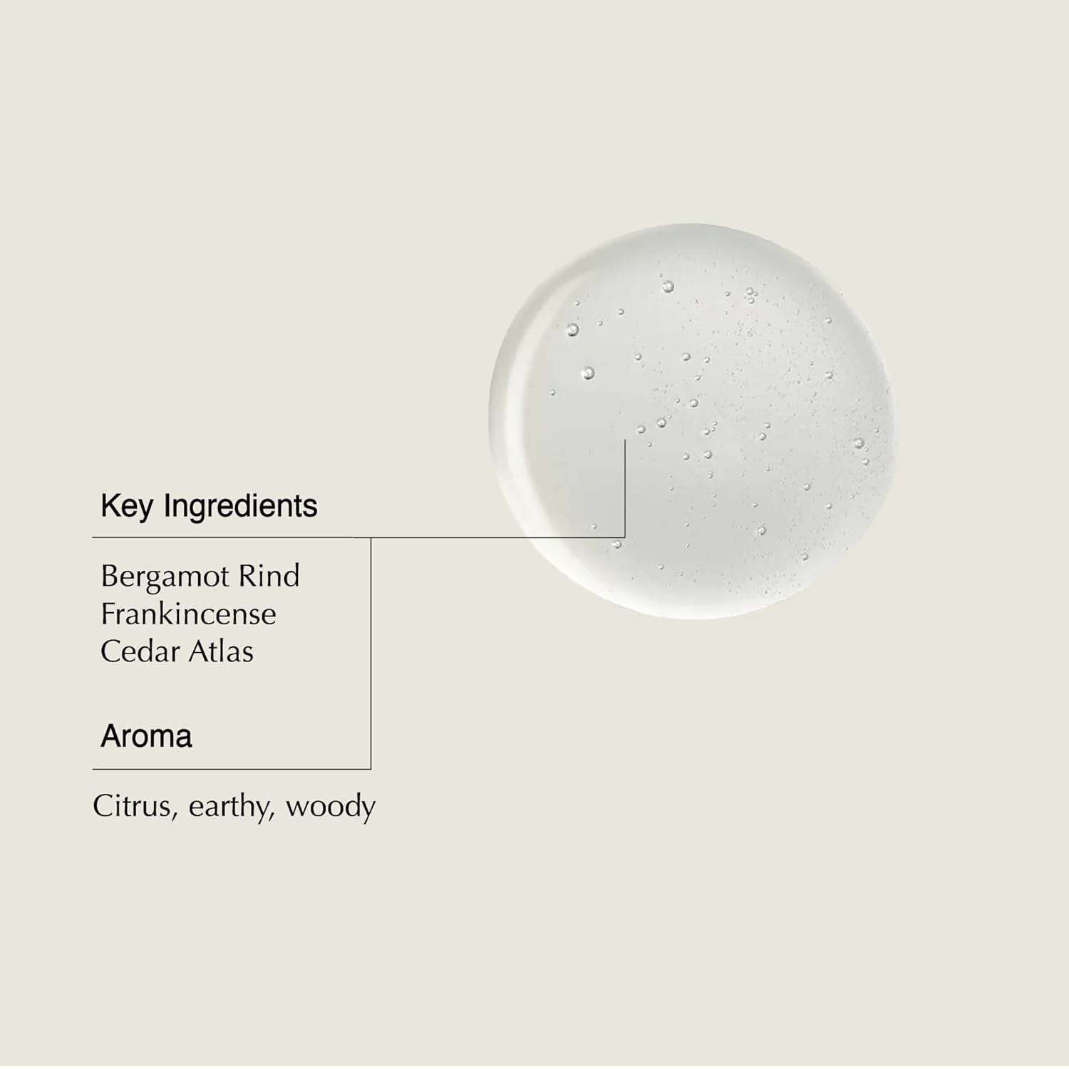 Aesop Shampoo 500 mL