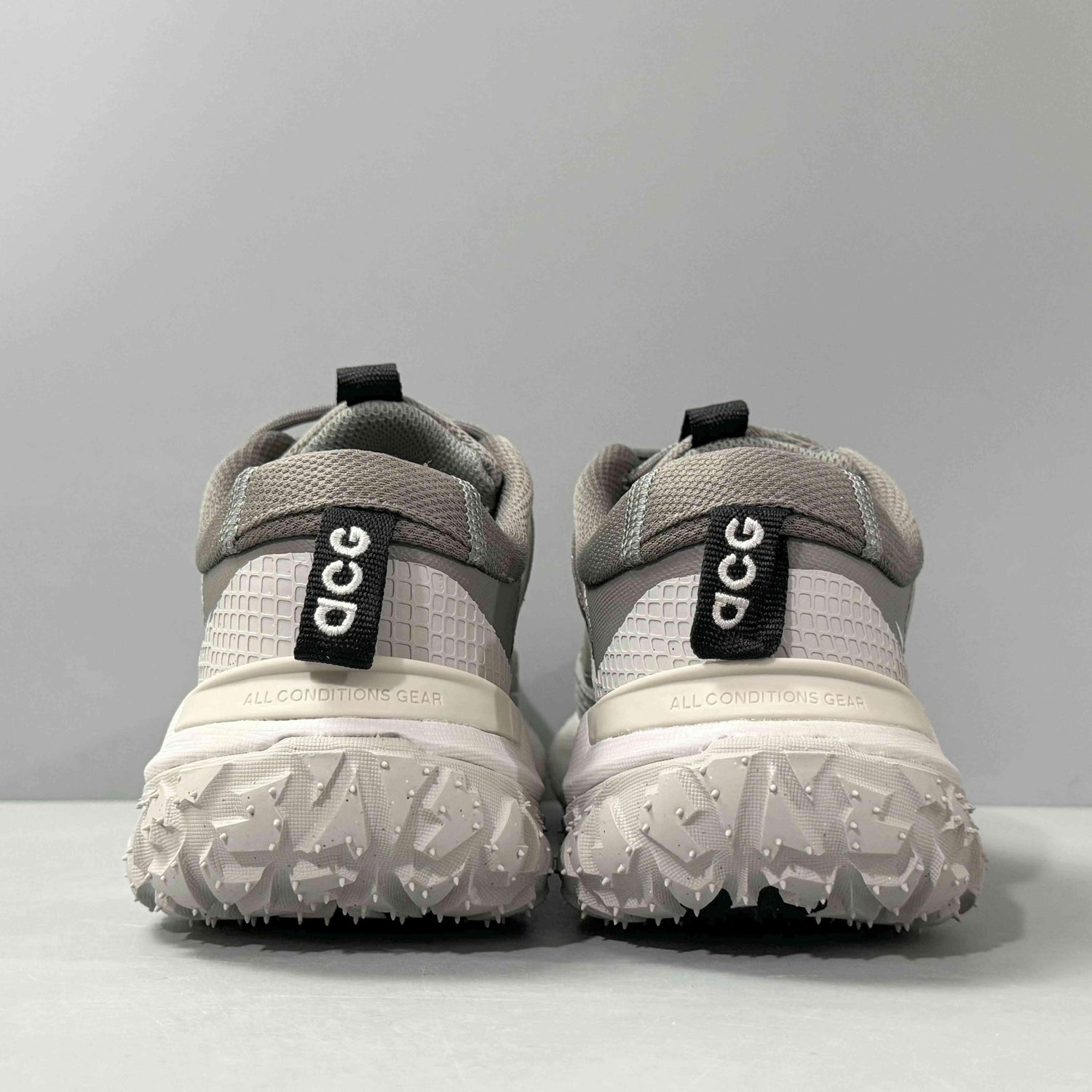 Nike ACG Mountain Fly 2 Low &