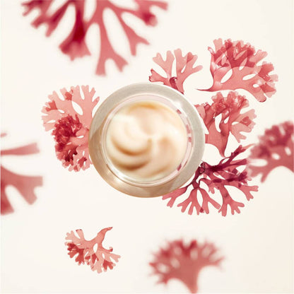 Shiseido Benefiance Wrinkle Smoothing Cream