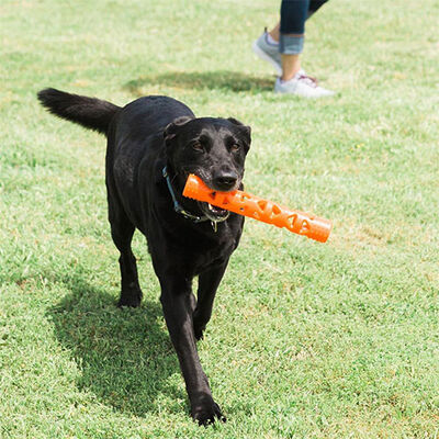 Chuckit! Air Fetch Stick Breathable Durable Dog Toy 31 cm