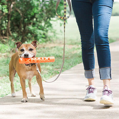 Chuckit! Air Fetch Stick Breathable Rubber Dog Toy 18 cm