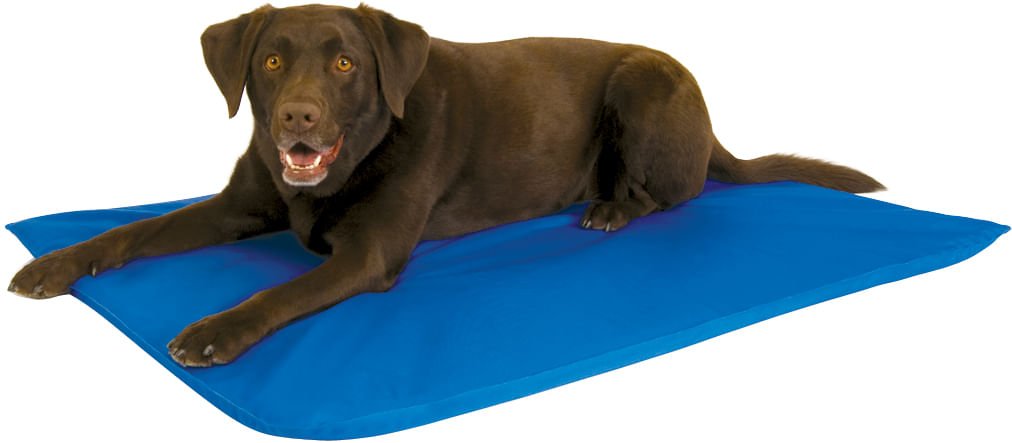 K&amp;H Cool Bed III for Dogs